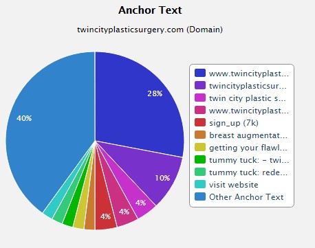 Backlink Anchor Text SEO Audit